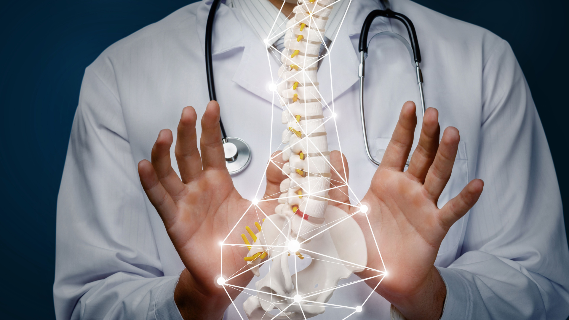 LE COLLABORAZIONI CON PROFESSIONISTI E ISTITUZIONI